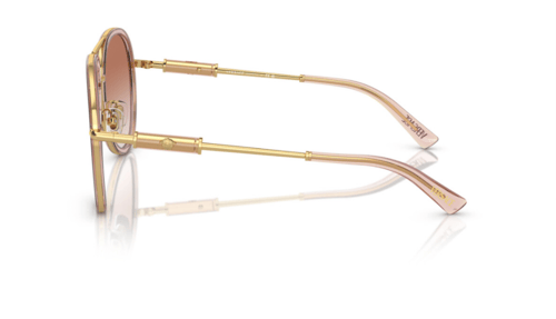 نظارة فيرزاتشي -2260 1002,13