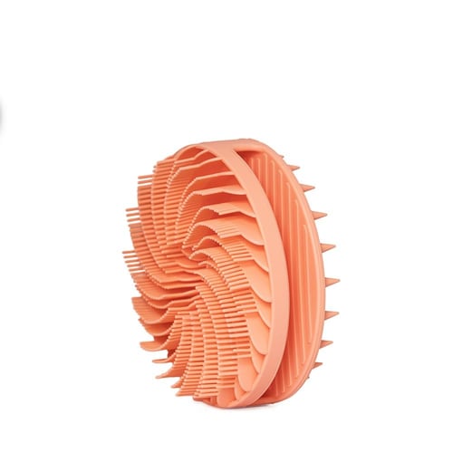 فرشاة دريمس