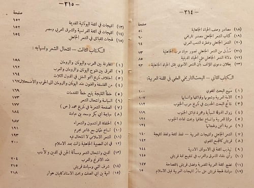 20592-الشهاب الراصد/محمد لطفي جمعة