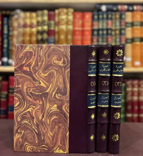 236-جمهرة خطب العرب في عصور العربية الزاهرة 3/1