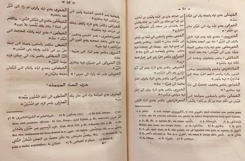 N29-لب اللباب في تحرير الانساب /السيوطي
