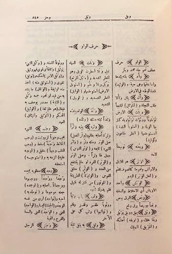 362-كنز العلوم واللغة
