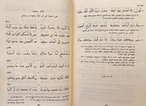 404-ديوان شعر ذي الرمة غيلان العدوي/كارليل مكارتني