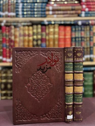 مجمع الامثال 2/1 الميداني