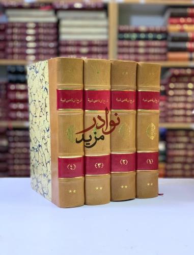 تاريخ ابن قاضي شهبة 4/1