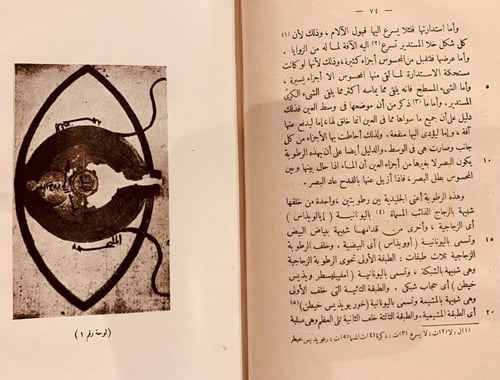 N73-العشر مقالات في العين/حنين بن اسحاق