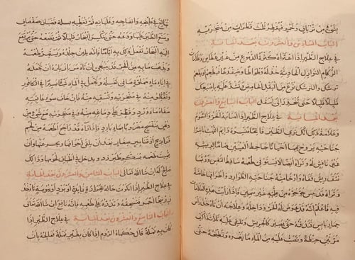 403-صورة مخطوط منافع الطير الضواري