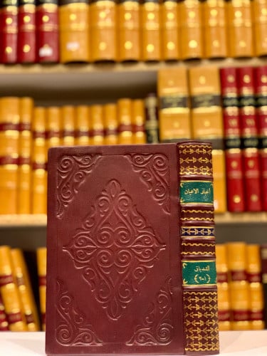 N55-اخبار الاعيان في جبل لبنان 2/1 مجلد واحد/الشدي...