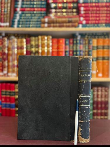 14587-شجرة الزيتون تاريخها زراعتها امراضها صناعاته...