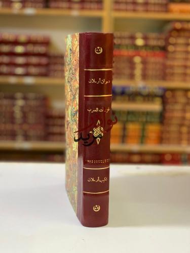 ديوان شكيب ارسلان/تاريخ غزوات العرب