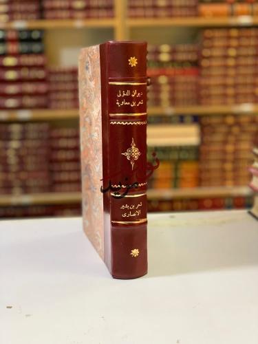 ديوان ابي الاسود الدؤلي/شعر عبد الله بن معاوية/شعر...