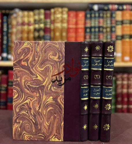 جمهرة خطب العرب في عصور العربية الزاهرة 3/1