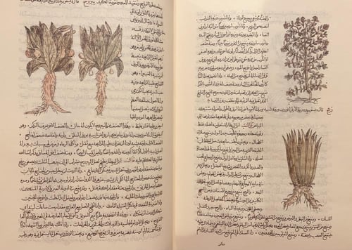 388-صورة مخطوط مسالك الابصار في ممالك الامصار /الع...