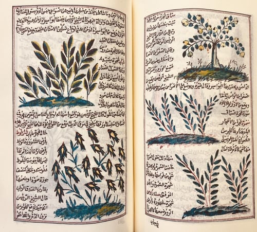 396-صورة مخطوط عجائب المخلوقات وغرائب الموجودات تج...