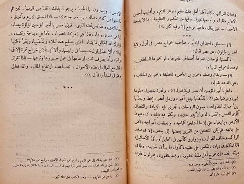 8922- القومية المصرية الاسلامية مرحلة التكون/ابراه...