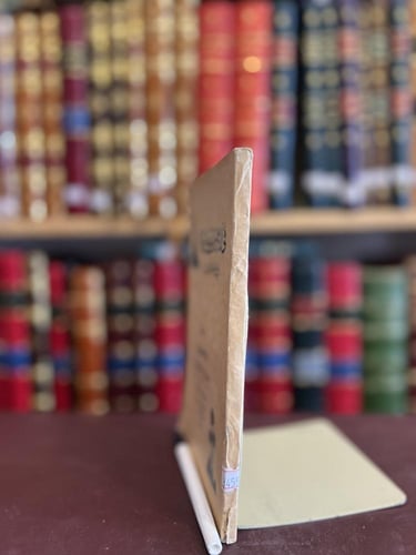 3455-في الارض المقدسة بين مصر والحجاز/ابراهيم حبيب