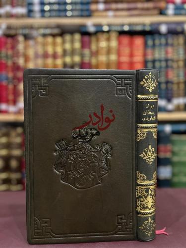 ديوان محمد بن عبيدالله سبط بن التعاويذي/مرجليوث