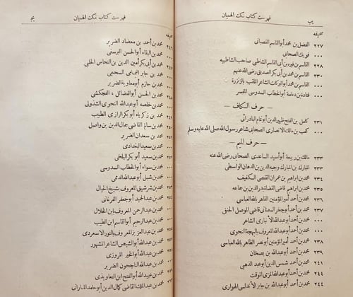 19660-نكت الهميان في نكت العميان /صلاح الدين الصفد...
