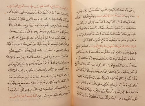 403-صورة مخطوط منافع الطير الضواري