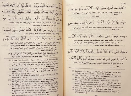 404-ديوان شعر ذي الرمة غيلان العدوي حجم كبير هامش