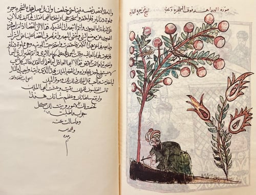 413-صورة مخطوط كليلة ودمنة/ابن المقفع