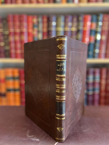 19669-التنكيت والتبكيت صحيفة وطنية اسبوعية ادبية ه...