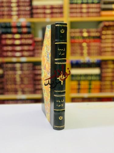 الساعات الاخيرة/اثنا عشر عاما في صحبة امير الشعراء...