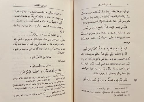 1004-ديوان الهذليين 2/1مجلد واحد