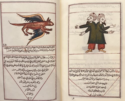 396-صورة مخطوط عجائب المخلوقات وغرائب الموجودات تج...