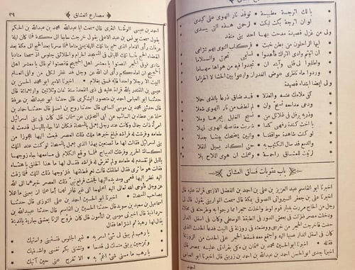 19266-مصارع العشاق /جعفر السراج