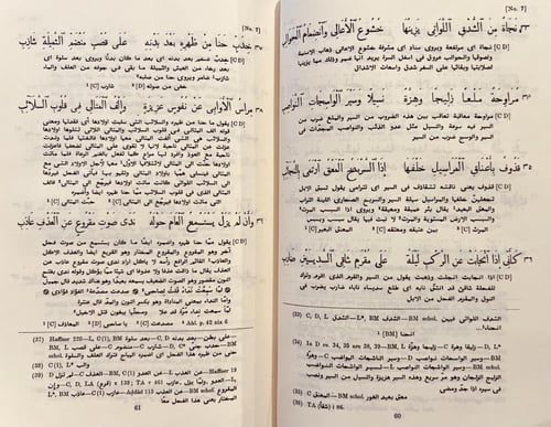 404-ديوان شعر ذي الرمة غيلان العدوي/كارليل مكارتني