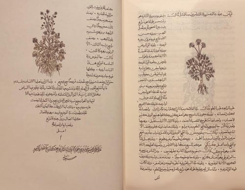 388-صورة مخطوط مسالك الابصار في ممالك الامصار /الع...