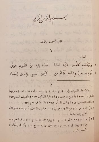 1033-ديوان الواواء الدمشقي/سامي الدهان