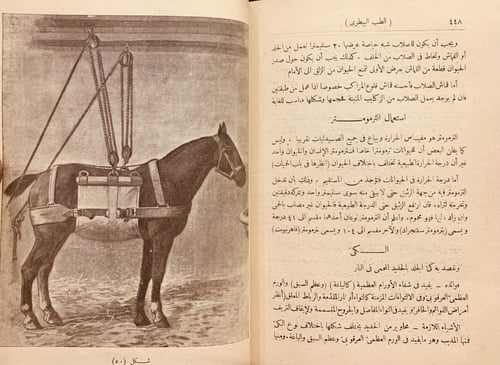 18189-الطب البيطري /عبدالعزيز نعماني