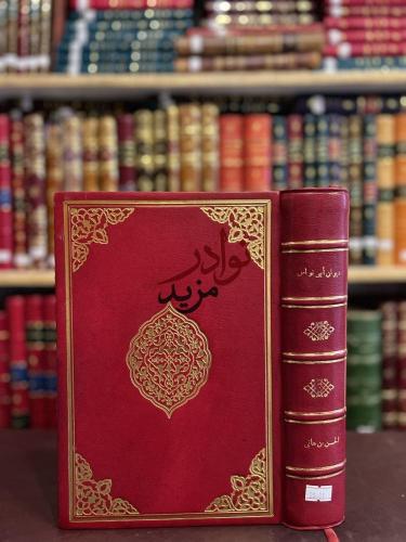 ديوان ابي نواس الحسن بن هانئ /احمد الغزالي