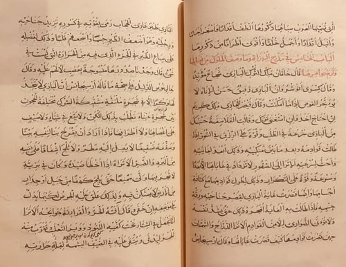 403-صورة مخطوط منافع الطير الضواري