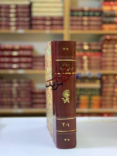 ديوان ابن ابي حصينة