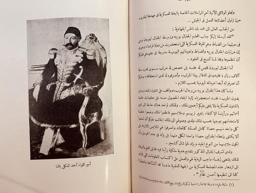 18736-ذكرى البطل الفاتح ابراهيم باشا