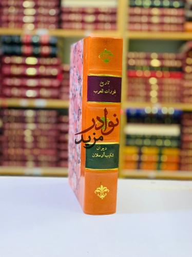 تاريخ غزوات العرب/ديوان شكيب ارسلان