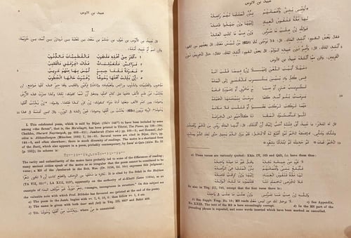 19387-ديوان عبيد بن الابرص السعدي الاسدي