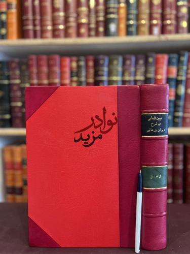 تبيين المعاني في شرح ديوان ابن هاني الاندلسي /زاهد...