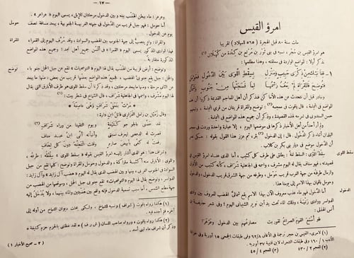 11711-صحيح الاخبار عما في بلاد العرب من الاثار 5/1...