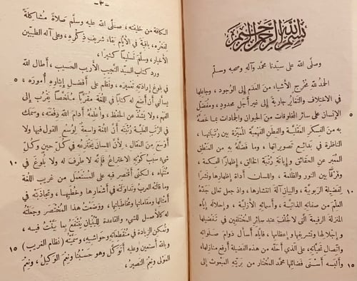 N60-نظام الغريب/عيسى الربعي