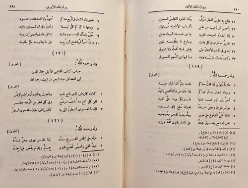 21085-ديوان الملك الامجد بهرام شاه الايوبي /غريب ا...