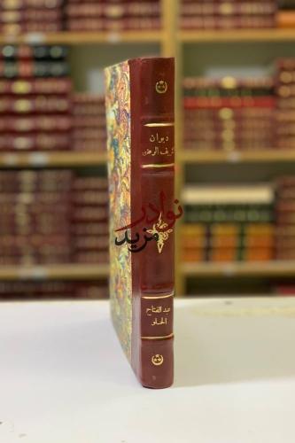 ديوان الشريف الرضي