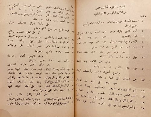 11137-الازهار النادية من اشعار البادية ج11