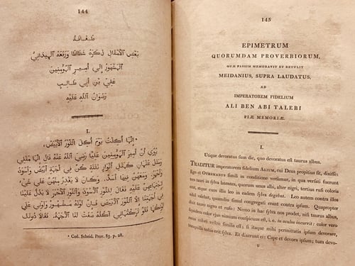 N-نثر اللال في الحكم والامثال او مجموع امثال وحكم...