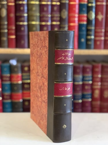 14736-سؤالان ابي حاتم السجستاني الاصمعي/فعلت وافعل...