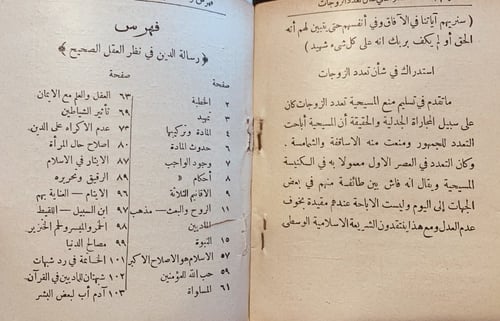 11098-الدين في نظر العقل الصحيح/محمد صدقي