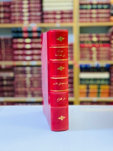 293-ديوان ابن خفاجة/ديوان ابن خفاجة (تحقيق اخر)تجل...